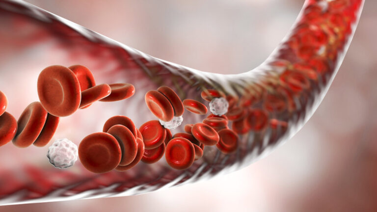 come-migliorare-la-circolazione-del-sangue